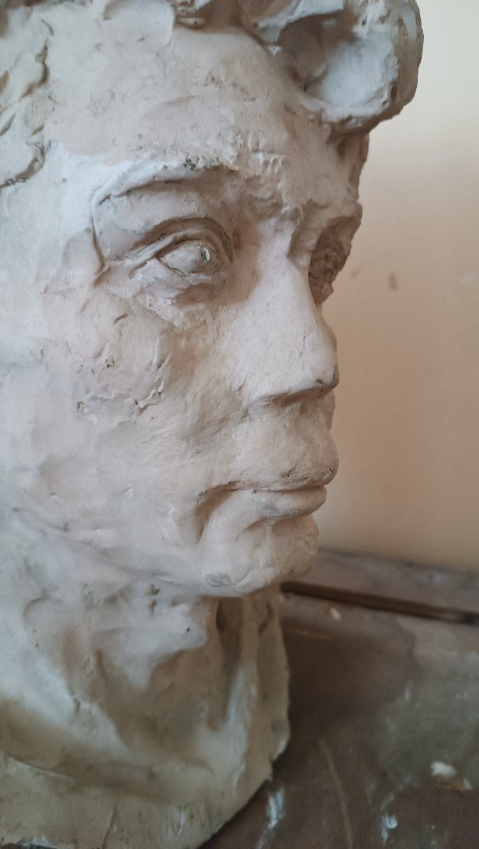 scultura busto in gesso firmato A.Novelli-photo-2