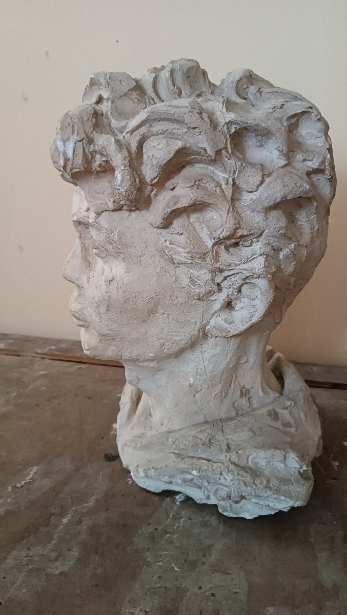 scultura busto in gesso firmato A.Novelli-photo-4