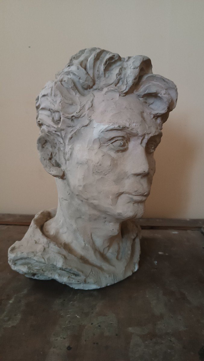 scultura busto in gesso firmato A.Novelli