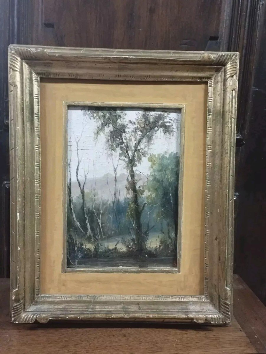 Dipinto Primi 900 Olio Su Cartoncino Firmato Paesaggio Quadro Cornice