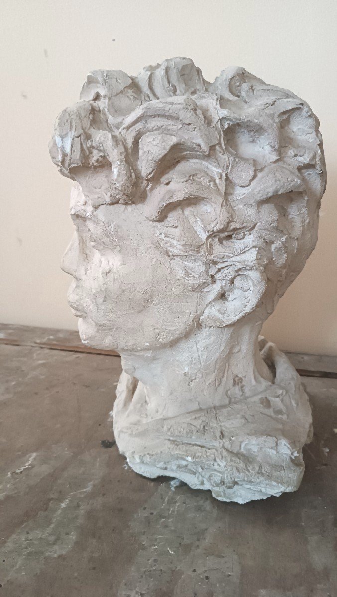 scultura busto in gesso firmato A.Novelli-photo-2