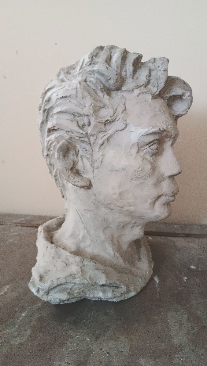 scultura busto in gesso firmato A.Novelli-photo-3