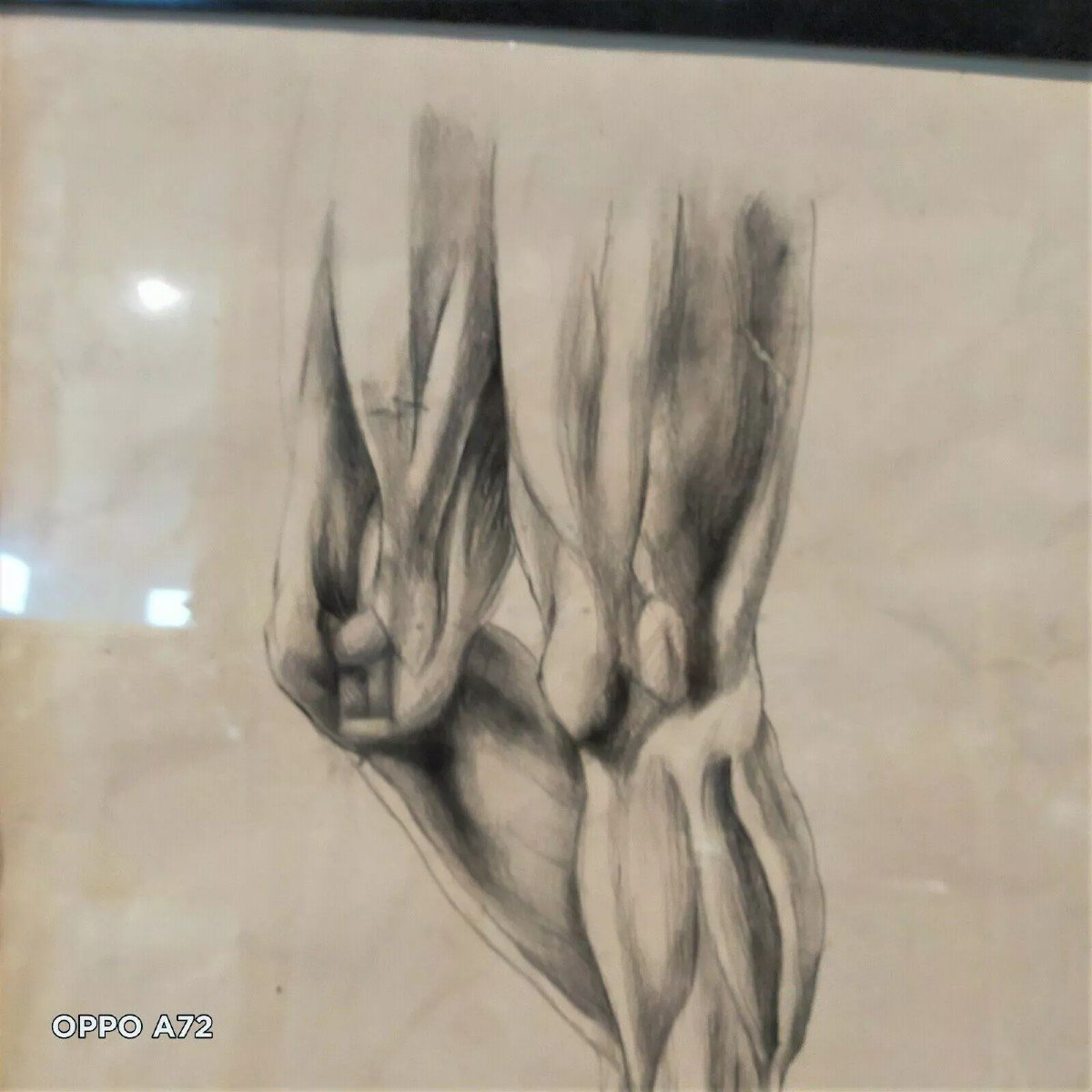 DISEGNO ANTICO ANATOMICO CORNICE ANTICA-photo-4