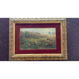 dipinto olio antico gregge con contadina -Tito Pellicciotti ( 1871-1950)