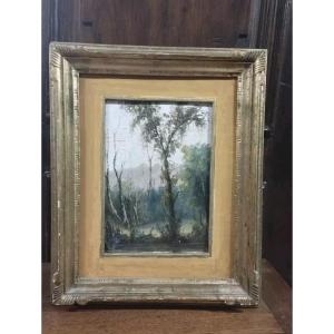 Dipinto Primi 900 Olio Su Cartoncino Firmato Paesaggio Quadro Cornice