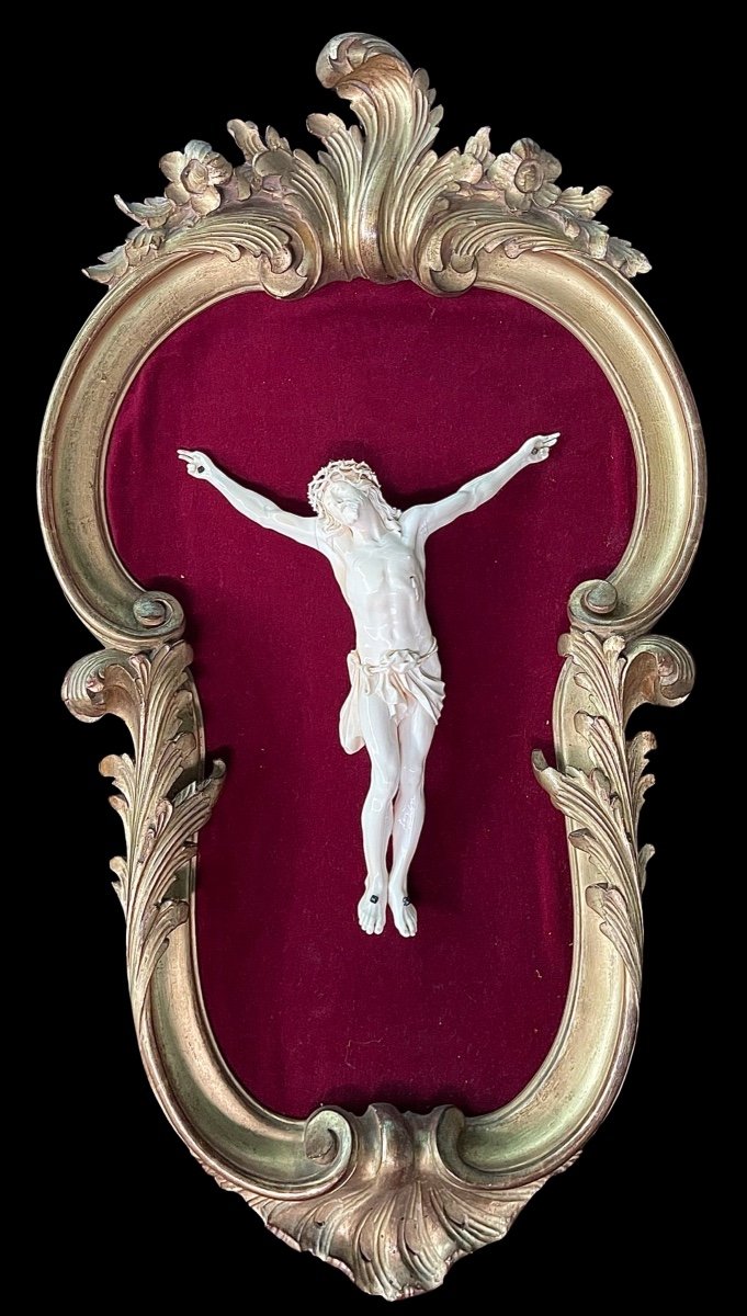 Cristo in avorio su cornice rocaille in legno dorato.