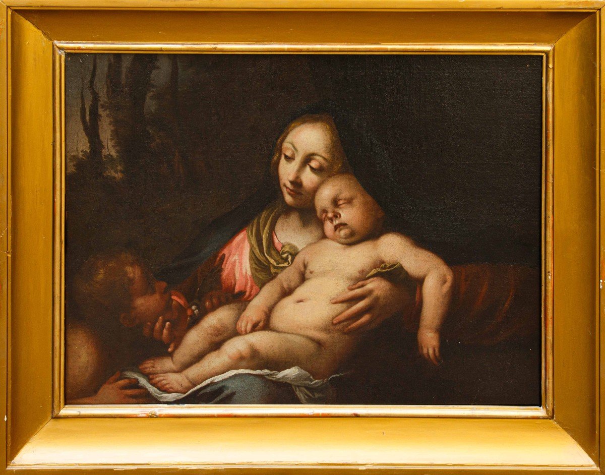 XVII-XVIII secolo, Cerchia di Carlo Cignani ( 1628 – 1718), Madonna con Bambino 