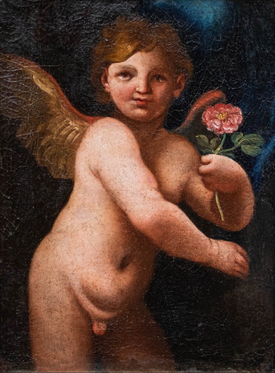 XVII secolo, Scuola emiliana, Putto con rosa-photo-2