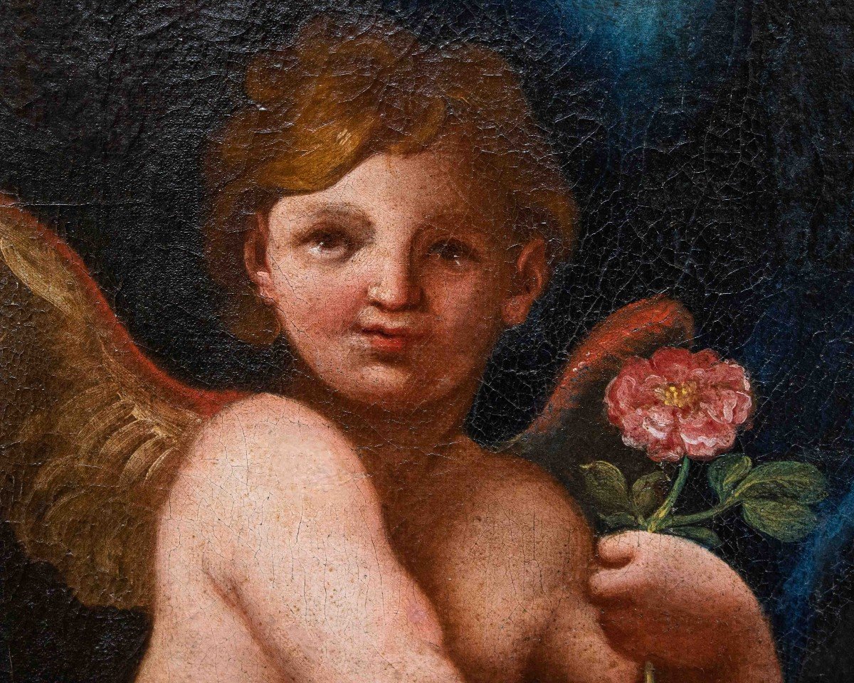 XVII secolo, Scuola emiliana, Putto con rosa-photo-3