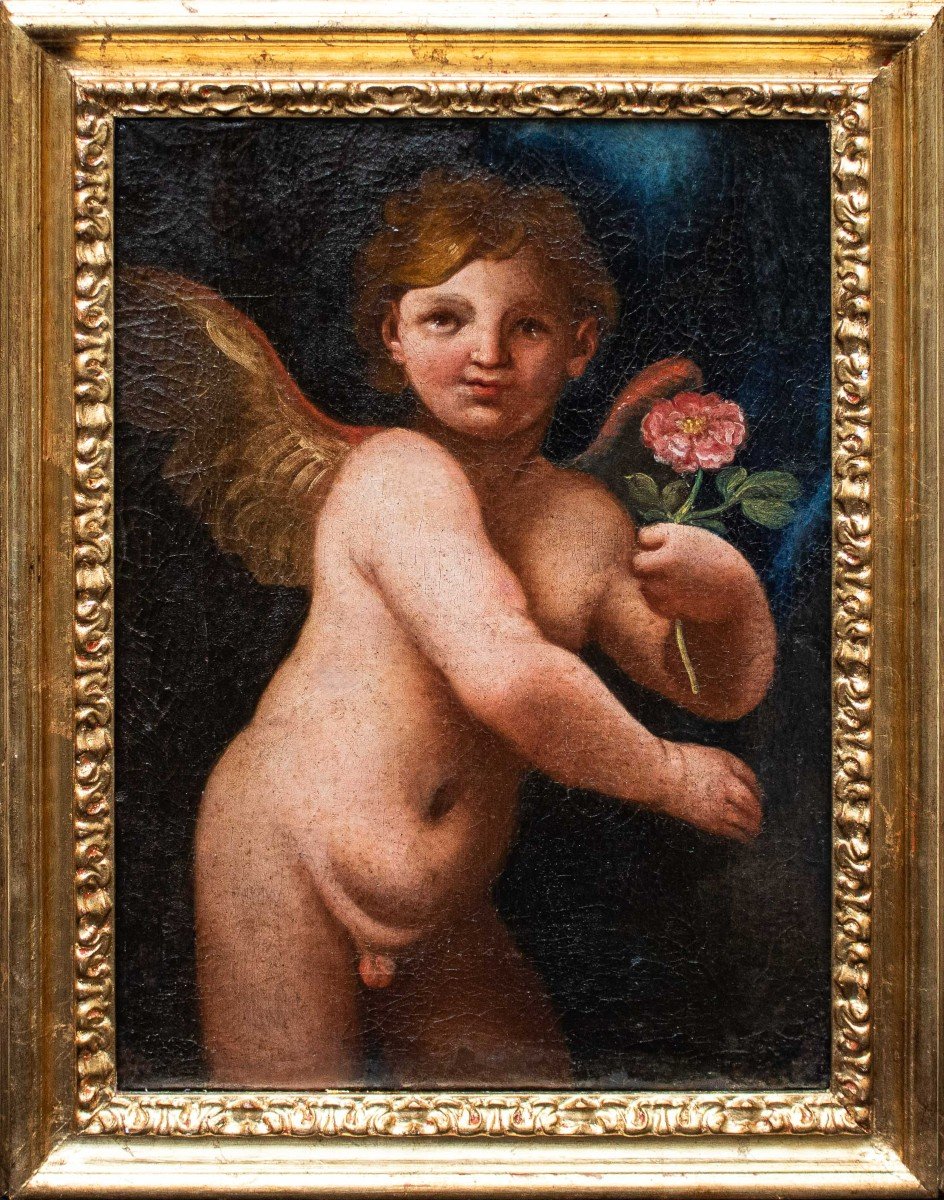 XVII secolo, Scuola emiliana, Putto con rosa