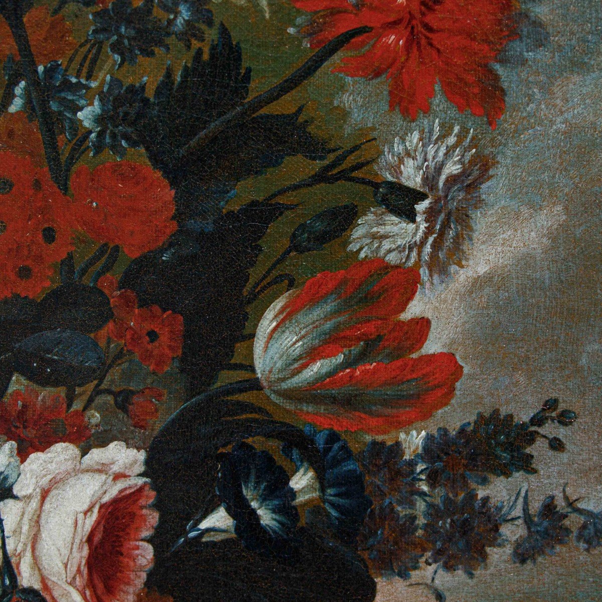 Karel Van Vogelaer, detto Carlo dei fiori (Maastricht 1653- Roma 1695), Vaso di fiori-photo-3