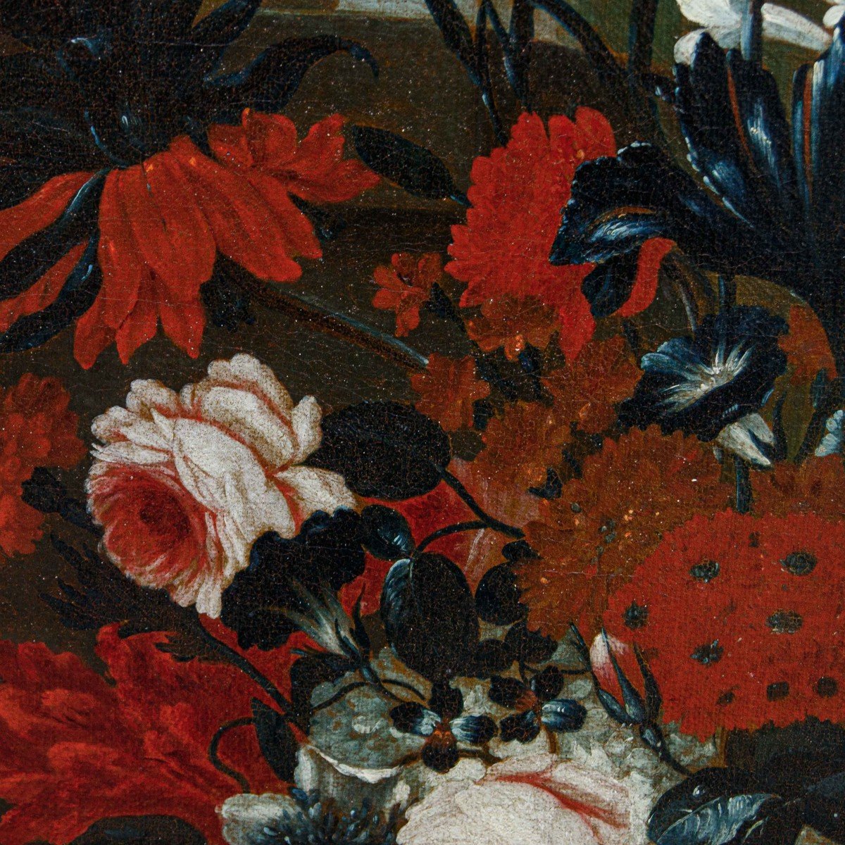 Karel Van Vogelaer, detto Carlo dei fiori (Maastricht 1653- Roma 1695), Vaso di fiori-photo-1