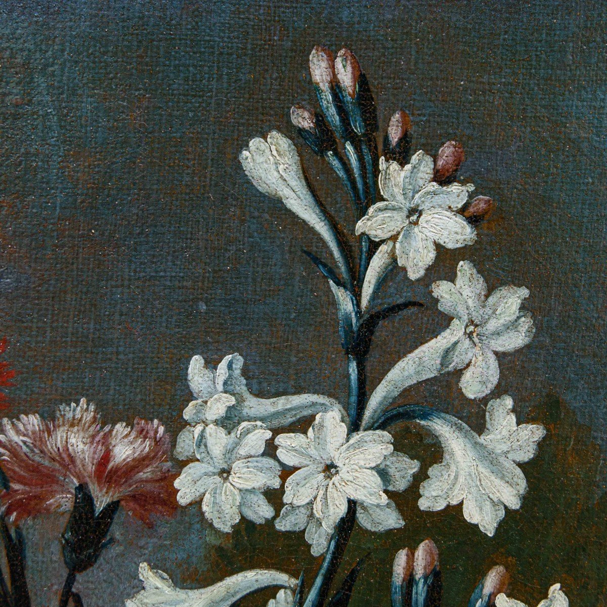 Karel Van Vogelaer, detto Carlo dei fiori (Maastricht 1653- Roma 1695), Vaso di fiori-photo-4