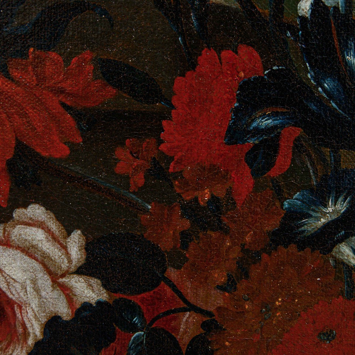 Karel Van Vogelaer, detto Carlo dei fiori (Maastricht 1653- Roma 1695), Vaso di fiori-photo-5