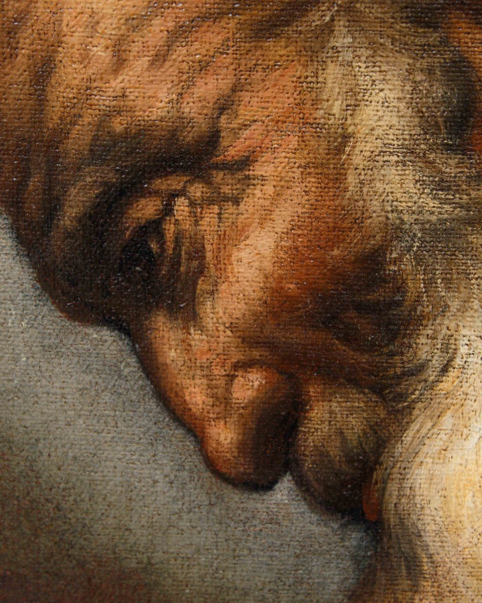 Ermanno Stroiffi (Padova, 1616 - Venezia, 1693), San Girolamo-photo-5