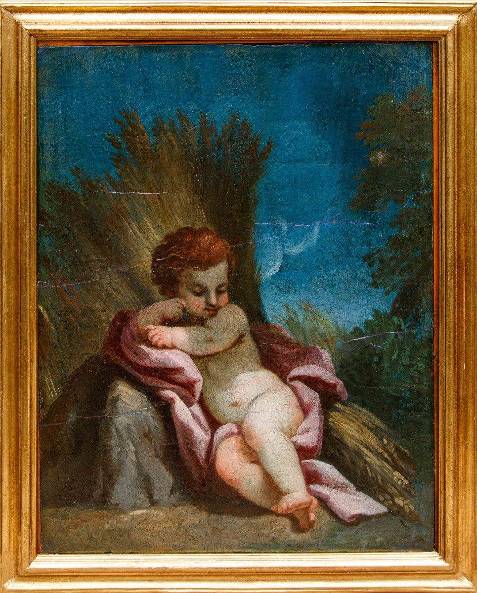 Scuola bolognese del XVIII secolo, Putti con allegorie delle stagioni-photo-2