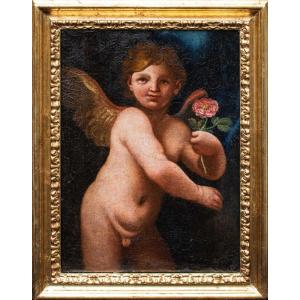 XVII secolo, Scuola emiliana, Putto con rosa