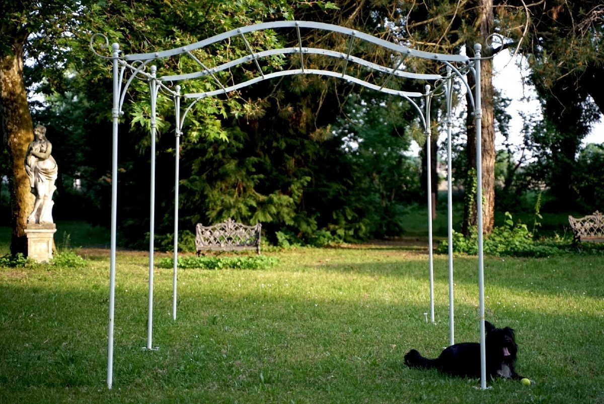 Pergola in Ferro Battuto-photo-2