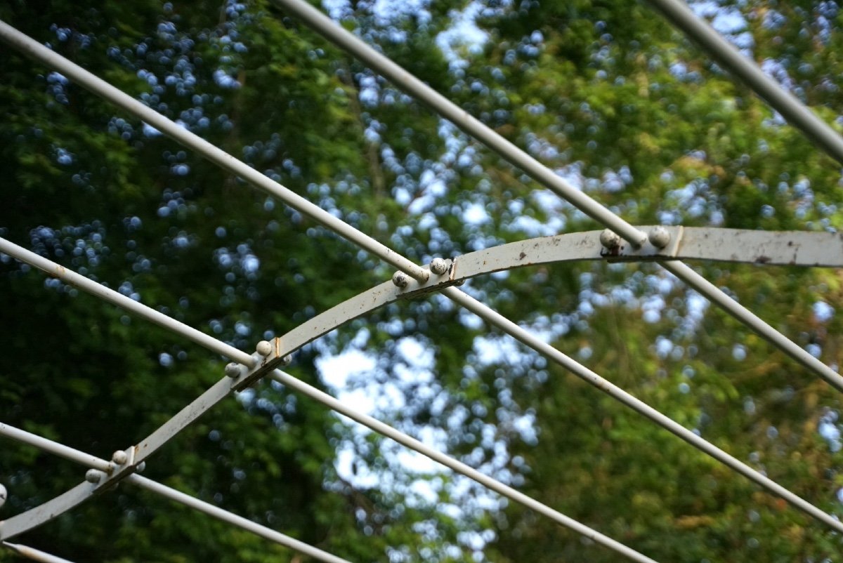 Pergola in Ferro Battuto-photo-6