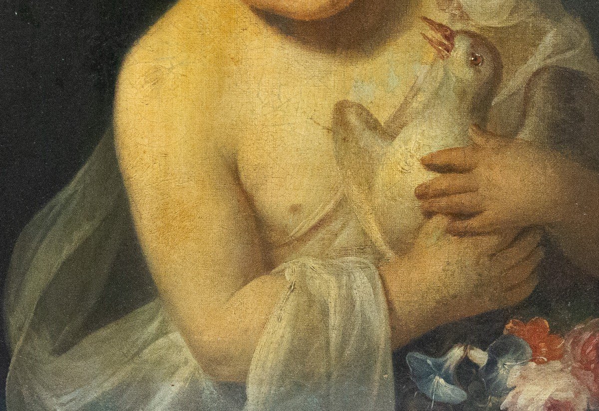 Artista Del XIX Secolo, olio su tela, "Bambino con colomba"-photo-1
