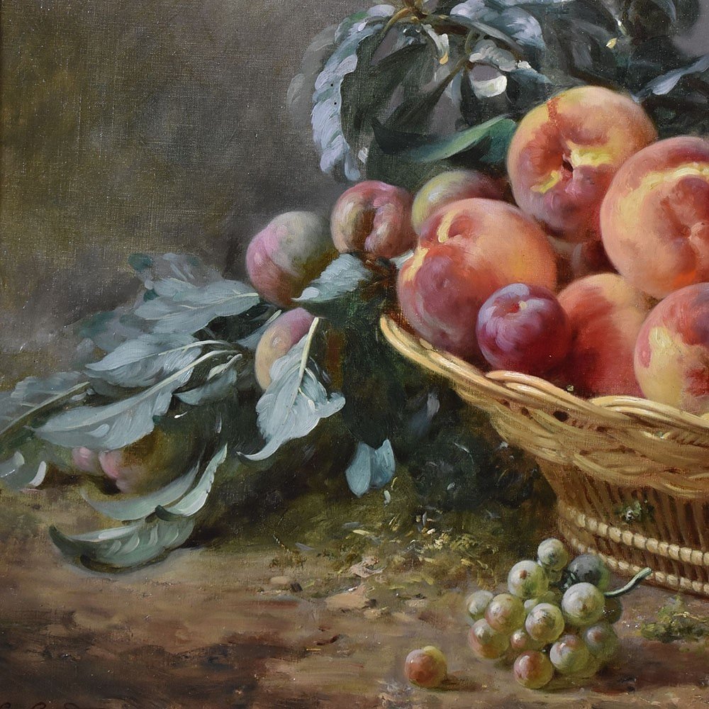 DIPINTI ANTICHI, NATURA MORTA  CON FRUTTA, CESTO DI  PESCHE E PRUGNE, OLIO SU TELA, XIX.(QNM590-photo-4