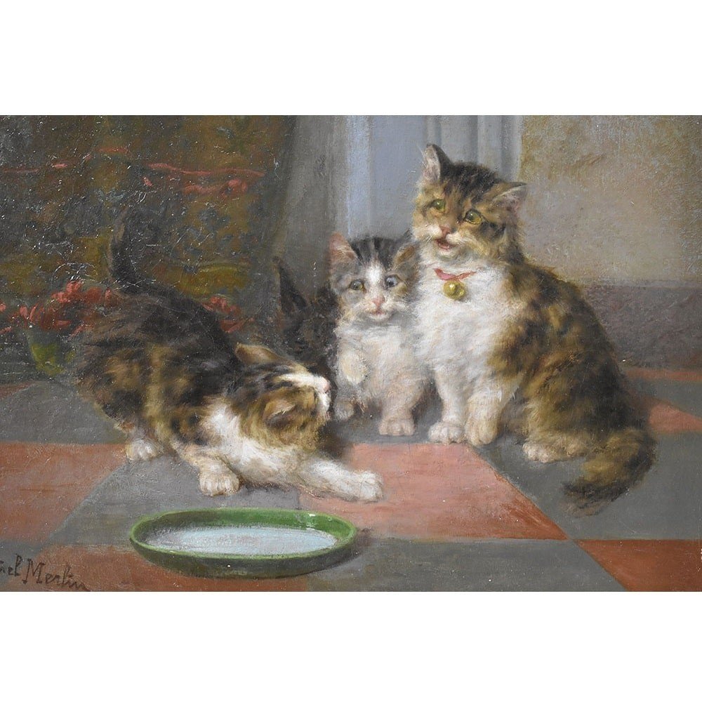 DIPINTI ANTICHI, RITRATTI DI GATTI CHE GIOCANO, OLIO SU TELA, EPOCA FINE OTTOCENTO. (QA624)-photo-2