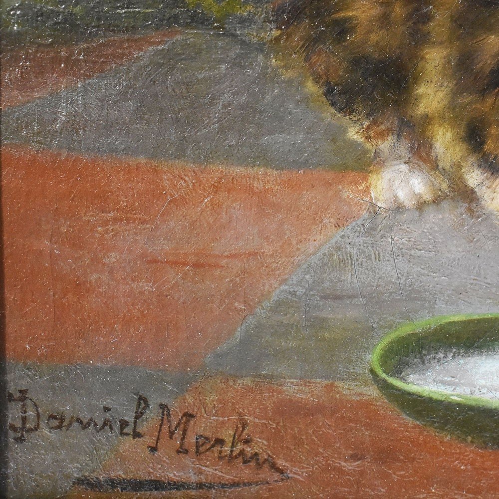 DIPINTI ANTICHI, RITRATTI DI GATTI CHE GIOCANO, OLIO SU TELA, EPOCA FINE OTTOCENTO. (QA624)-photo-5