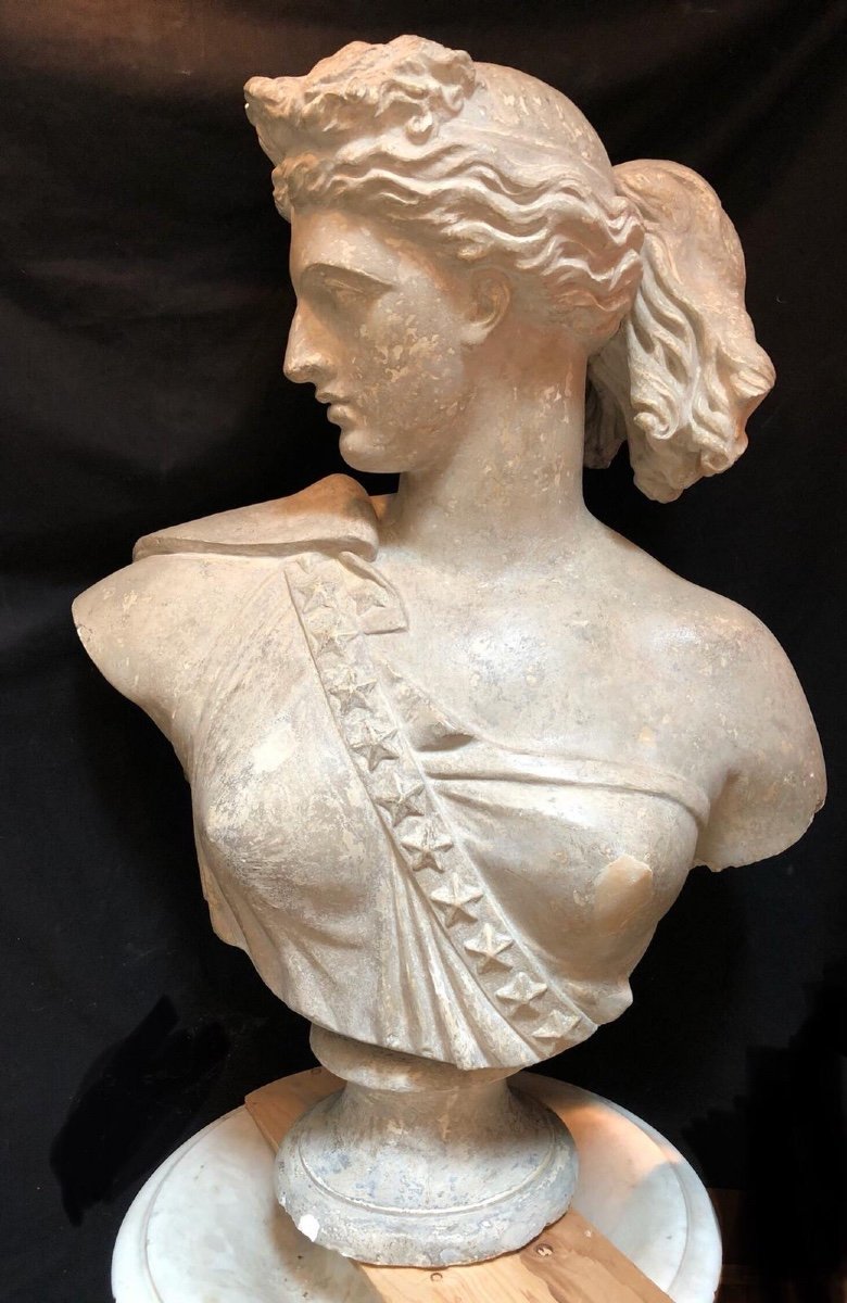 Grande busto femminile in gesso-photo-4