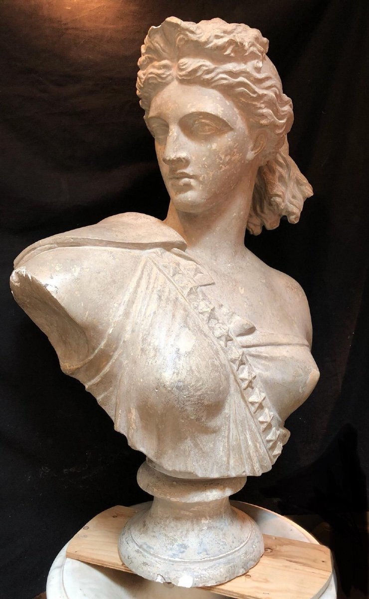 Grande busto femminile in gesso