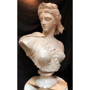 Grande busto femminile in gesso