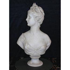 Busto raffigurante dea Artemide Carrara Marmo 