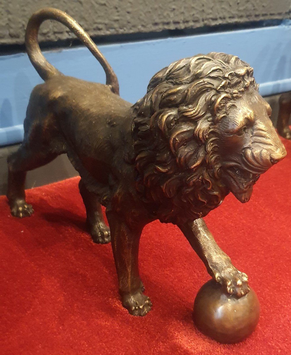 Coppia di leoni in bronzo , h 29 x 38 cm , XX secolo -photo-3