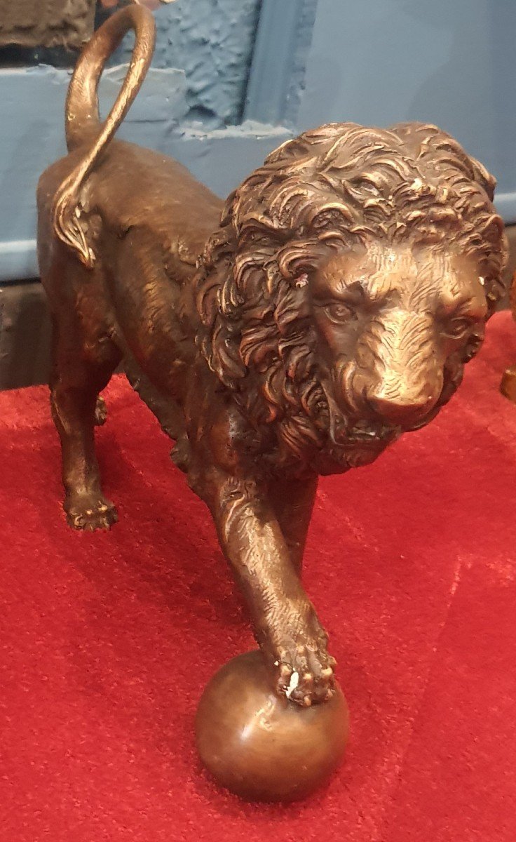 Coppia di leoni in bronzo , h 29 x 38 cm , XX secolo -photo-4