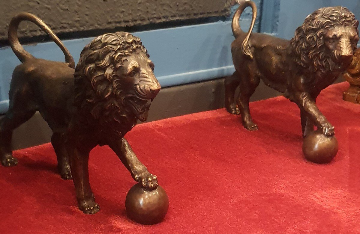 Coppia di leoni in bronzo , h 29 x 38 cm , XX secolo 