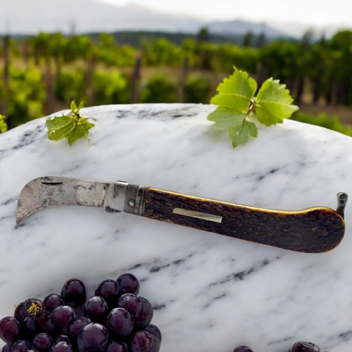 Coltello antico da giardinaggio in corno di cervo e sblocco a pompa. Toron Paris C1860-photo-4