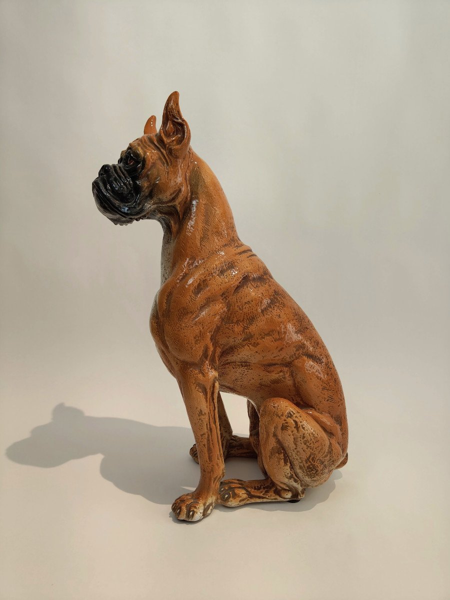 Cane di razza Boxer in maiolica-photo-3