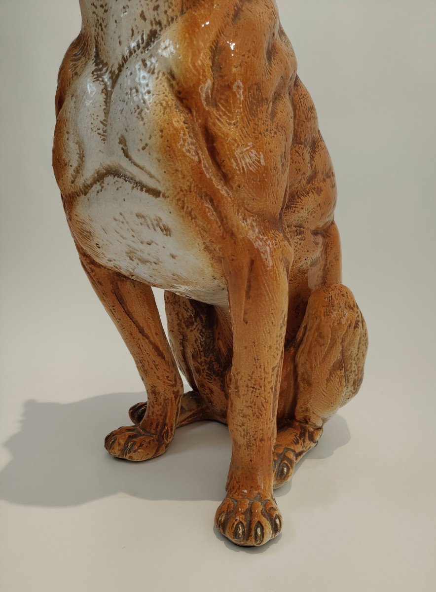 Cane di razza Boxer in maiolica-photo-2