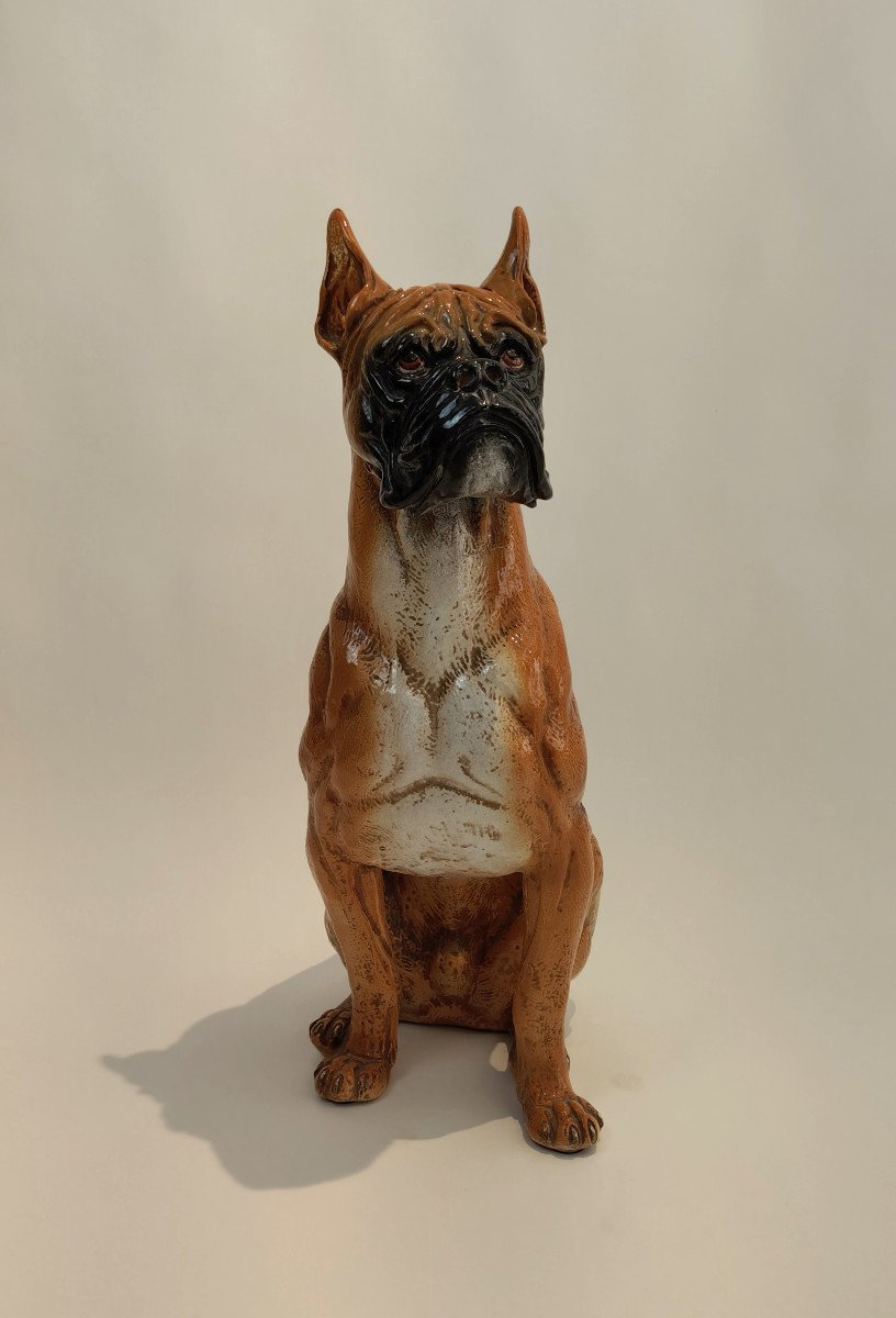 Cane di razza Boxer in maiolica