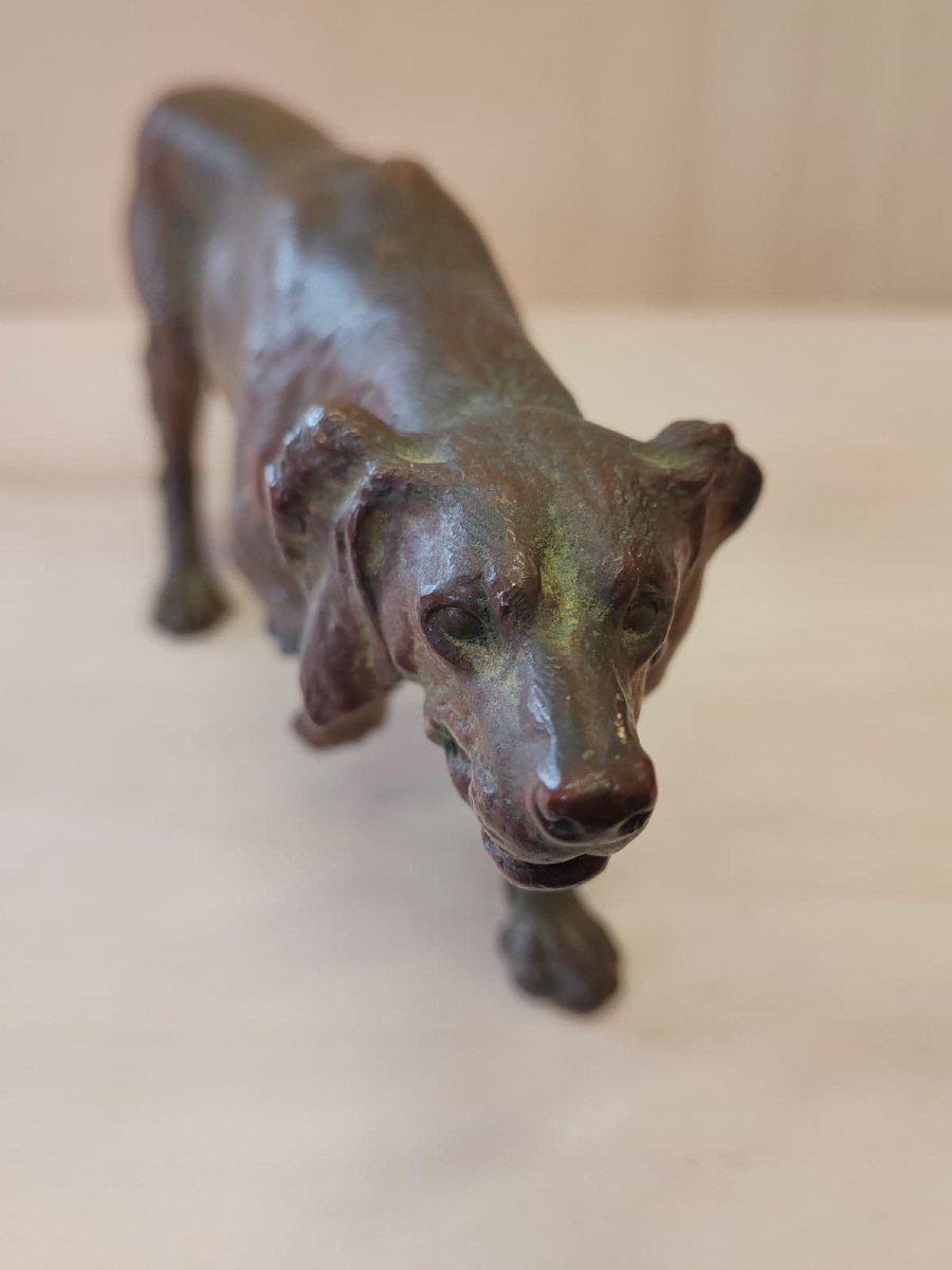 Bronzo raffigurante cane di razza setter,  Franz Bergman - Austria XIX Sec.-photo-3