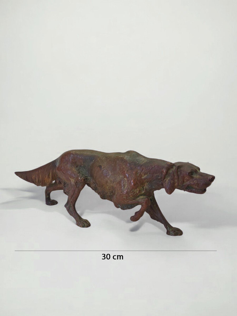 Bronzo raffigurante cane di razza setter,  Franz Bergman - Austria XIX Sec.