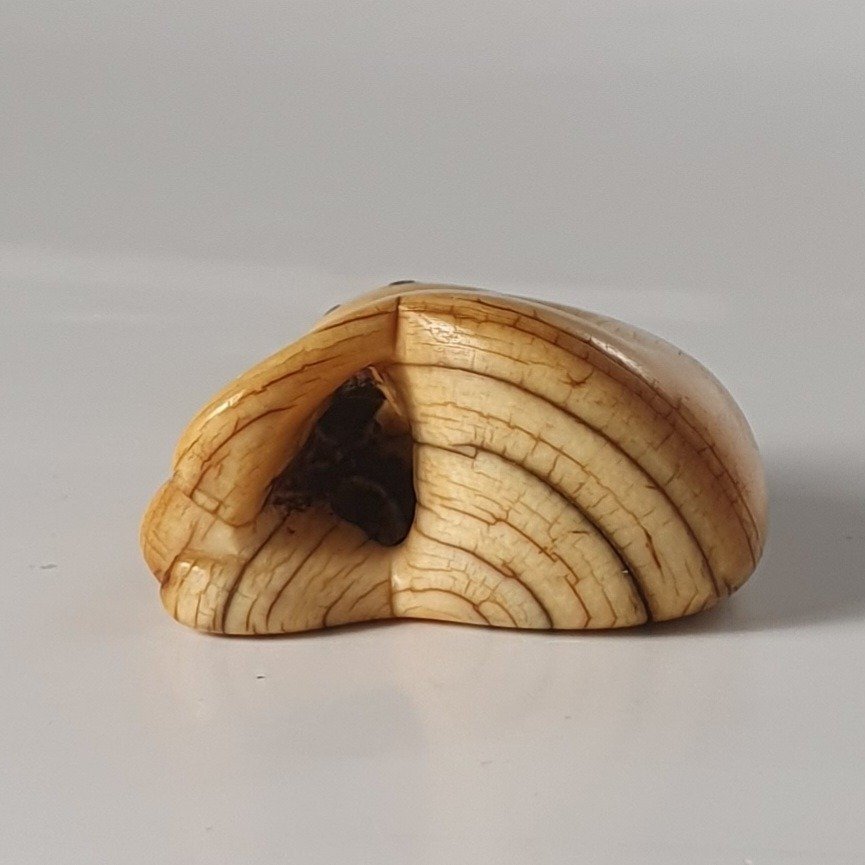 netsuke in avorio-photo-2