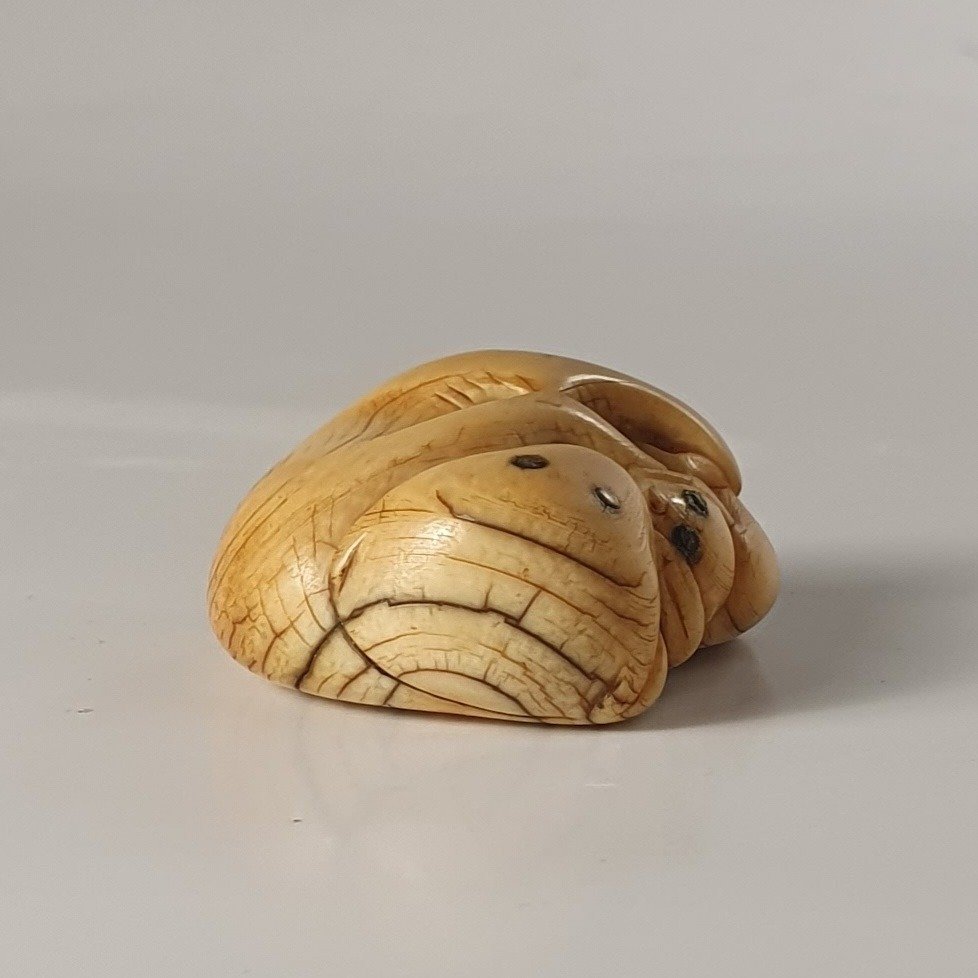 netsuke in avorio-photo-5