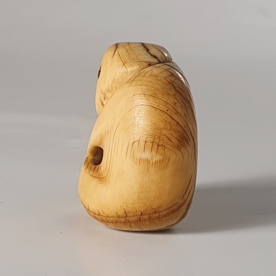 netsuke in avorio-photo-7