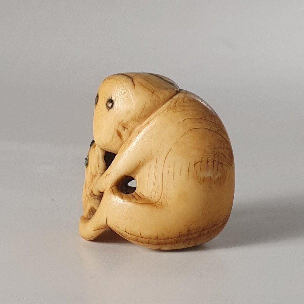 netsuke in avorio-photo-8