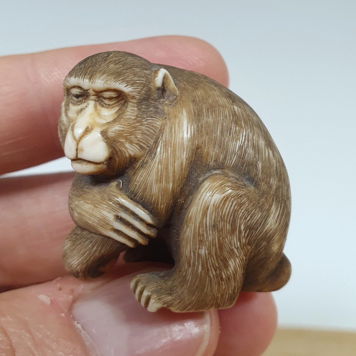 netsuke in avorio-photo-2