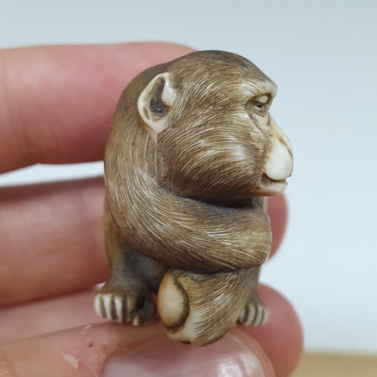 netsuke in avorio-photo-4