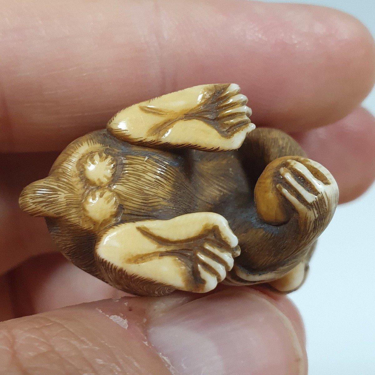 netsuke in avorio-photo-5