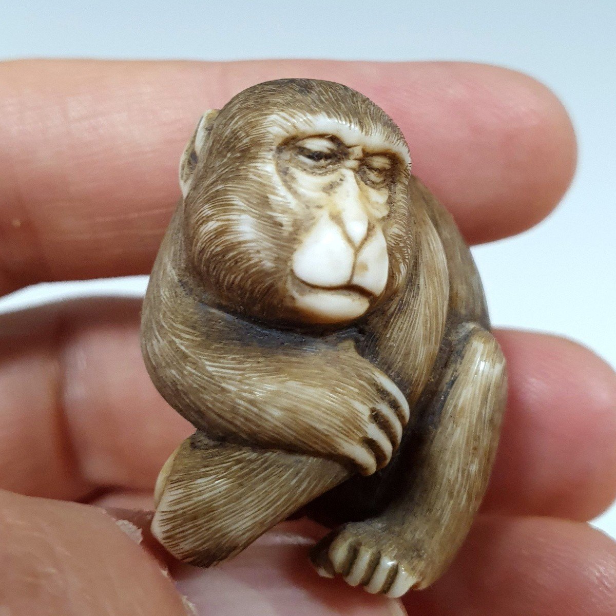 netsuke in avorio-photo-7