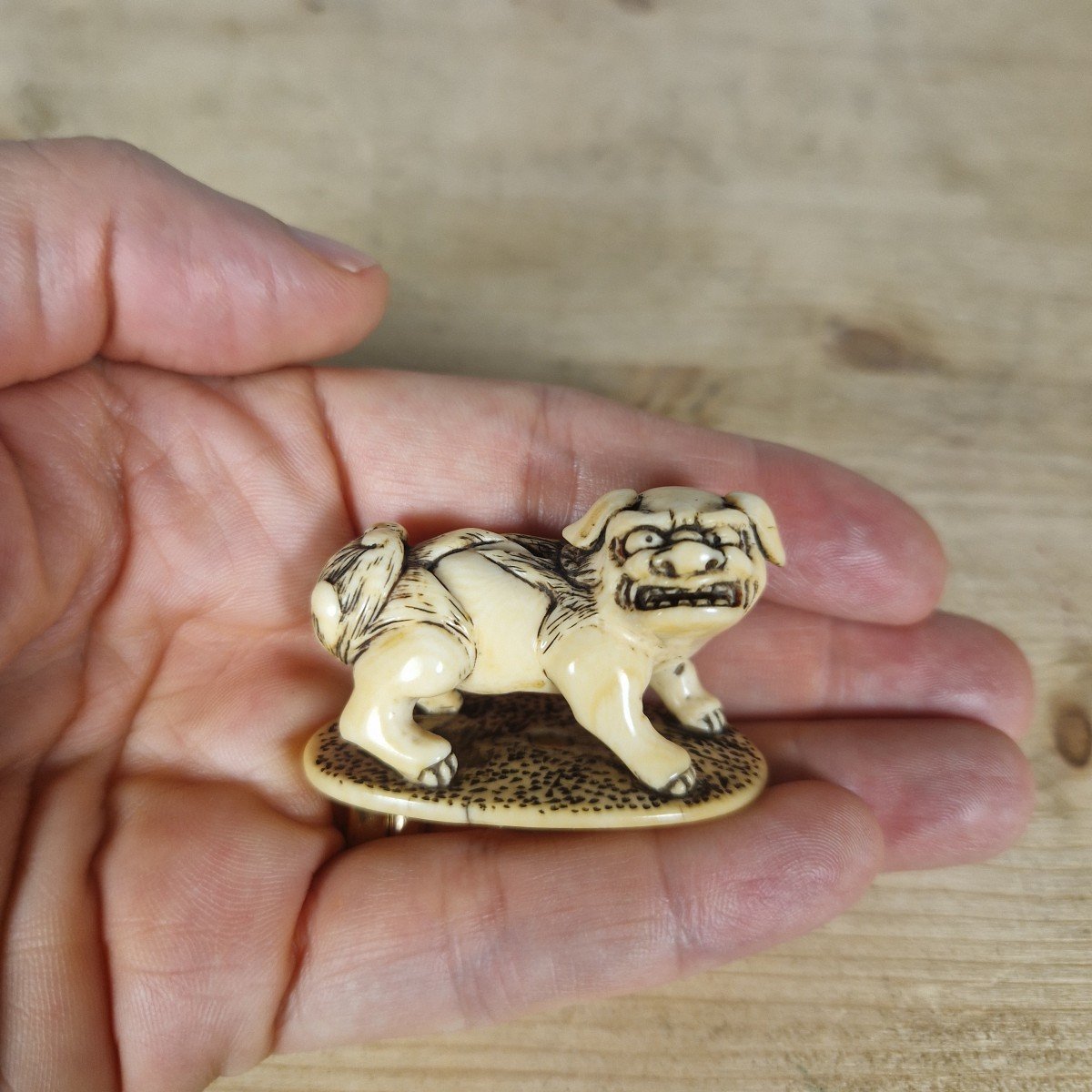 netsuke in avorio-photo-5