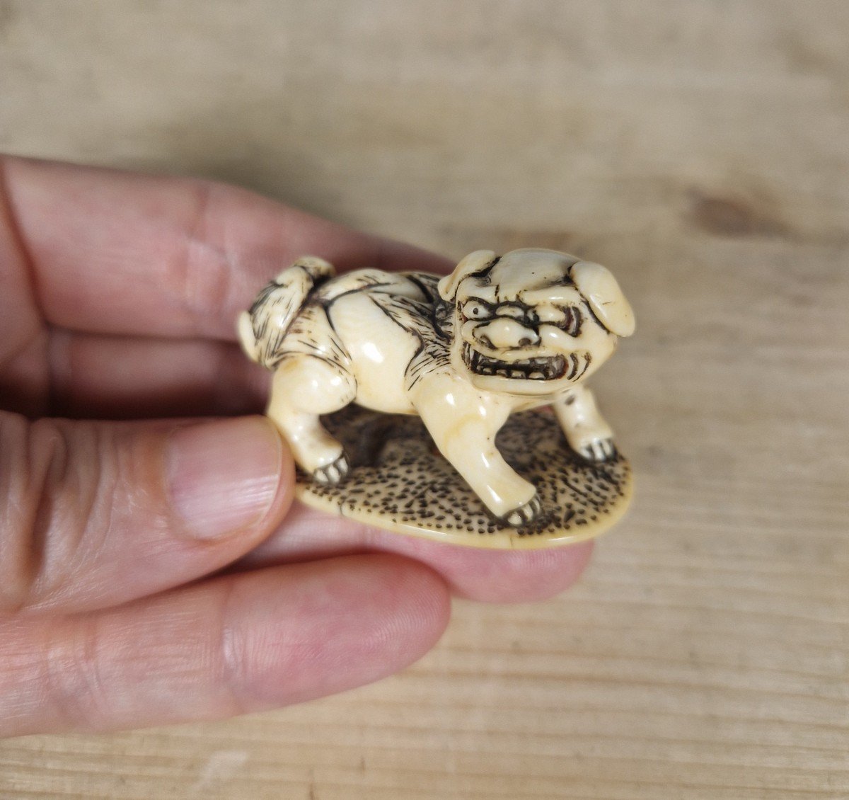 netsuke in avorio-photo-6